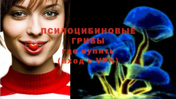 трава Зеленокумск