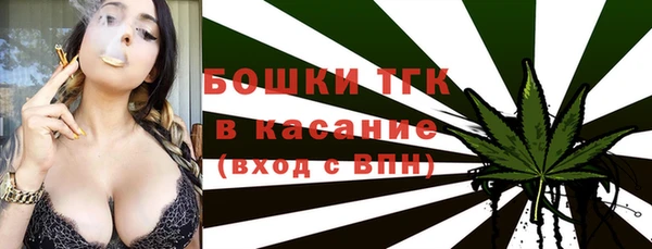 молекула духа Зеленодольск