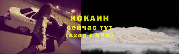 молекула духа Зеленодольск