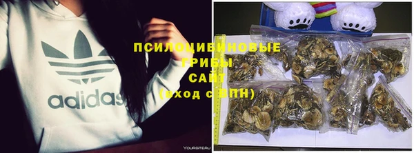 трава Зеленокумск