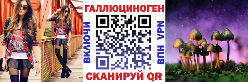 Купить где  Демидов  Псилоцибиновые грибы MAGIC MUSHROOMS 