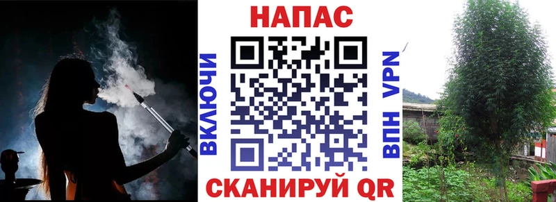 Бошки Шишки OG Kush  Купить где  Демидов 